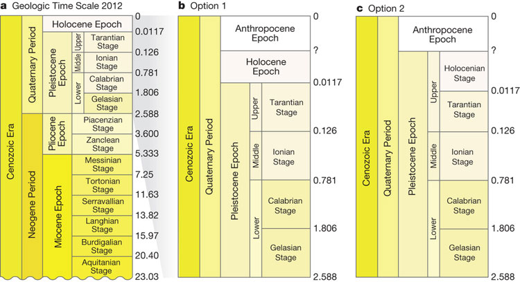 Différentes tables d'échelle des temps géologiques en fonction de la décision de faire de l'Anthropocène une époque et de rétrograder (ou pas) l'Holocène en étage holocénien du Pleistocène.